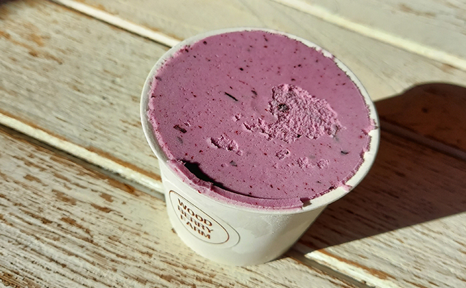 【2024年6月上旬以降順次発送】ブルーベリージェラート　12個入り【配送不可：離島】