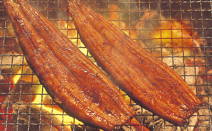 うなぎ 浜松 浜名湖産 鰻 蒲焼 約100g× 2尾 たれ 10ml×2 小分け セット 土用の丑の日 丑の日 国産うなぎ 浜松うなぎ 浜名湖うなぎ 国産 蒲焼き 夏バテ防止 浜名湖 産地直送 冷凍 冷凍配送 静岡 静岡県 浜松市