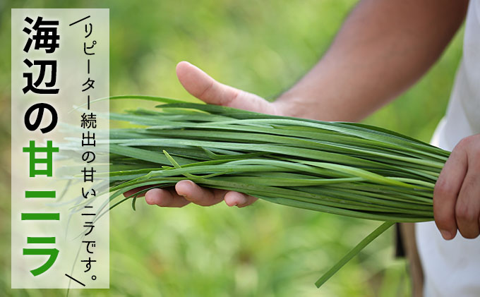 野菜 定期便 12ヶ月 旬の野菜 10～12種類 BOX おとなりさんち厳選 浜松から鮮度抜群 野菜セット 詰め合わせ 季節の野菜 旬 トマト ピーマン 玉ねぎ ブロッコリー 冷蔵 冷蔵配送 静岡 静岡県 浜松市 定期 お楽しみ 12回 配送不可：沖縄・離島
