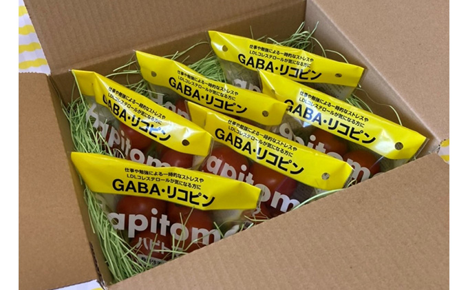 機能性表示食品 Hapitoma ハピトマ 3種盛り（1.2kg）【配送不可：離島】