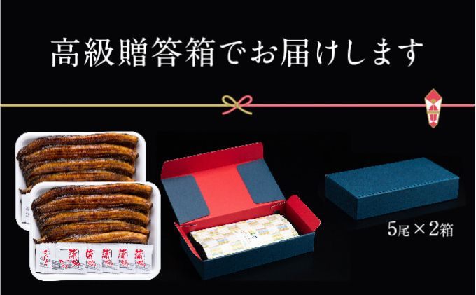 うなぎ 浜松 溶岩焼き 蒲焼き 10尾 (約140g×5尾×2P) 朝じめ 鰻 タレ セット 土用の丑の日 丑の日 国産うなぎ 浜松うなぎ 浜名湖うなぎ 国産 ギフト プレゼント 贈答 レンジ 調理 レンチン 夏バテ防止 浜名湖 産地直送 冷蔵 冷蔵配送 静岡県 浜松市