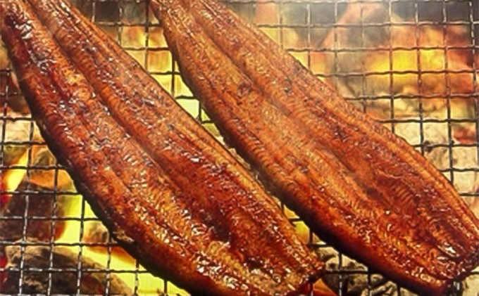 うなぎ 浜松 浜名湖産 鰻 蒲焼 約175g× 2尾 たれ 10ml×2 小分け セット 土用の丑の日 丑の日 国産うなぎ 浜松うなぎ 浜名湖うなぎ 国産 蒲焼き 特大 夏バテ防止 浜名湖 産地直送 冷凍 冷凍配送 静岡 静岡県 浜松市