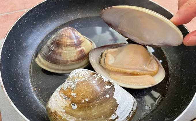 浜名湖産 特大はまぐり 1kg【配送不可：北海道・沖縄・離島】 たっぷり 栄養 貝柱 ぷりぷり 食感 美味しい 浜松市