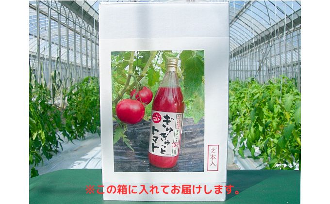 ひとっちゃんの有機畑の〈ぎゅぎゅっとトマト〉、有機トマト100％使用 ジュース 1L×2本