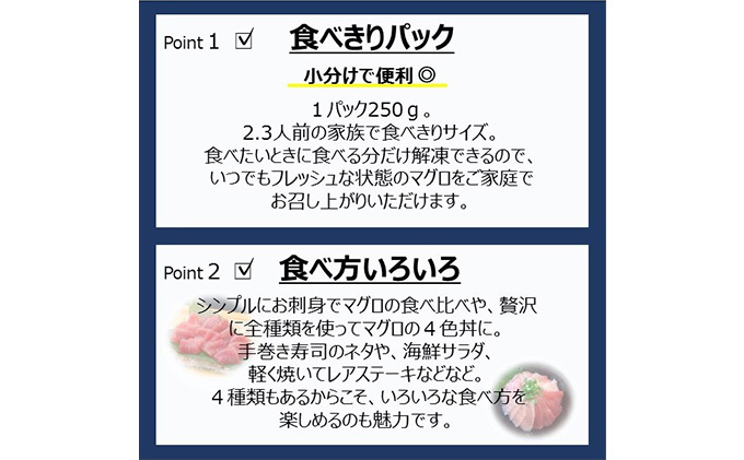 【3回定期便】天然まぐろ食べ比べ4種セット 合計1kg（バチマグロ切落し・びん長マグロ・ミナミマグロ・ネギトロ 250g×各１袋）×3回【配送不可：離島】