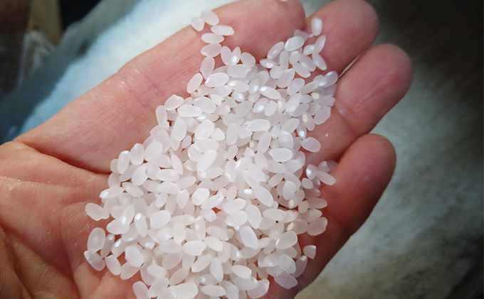 2025年12月上旬以降発送【定期便3回】雄踏ファームカモ産「みつばちまもる米」白米 5kg にこまる（3ヶ月連続・合計15kg） お米 コメ ご飯 ライス 特別栽培米 検査米 1等米 静岡 浜松