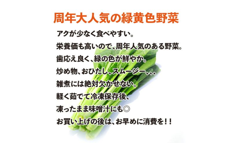 小松菜 10袋入り 1袋200g 約2kg 【配送不可：離島】 こまつな 
