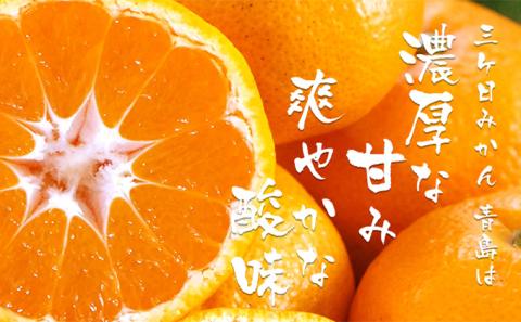 【2025年2月中旬以降順次発送】三ヶ日みかんジュース ストレート「あおしま」180ml　12本【静岡 三ヶ日 みかん ジュース】 果汁飲料 野菜飲料 ミカン フルーツ