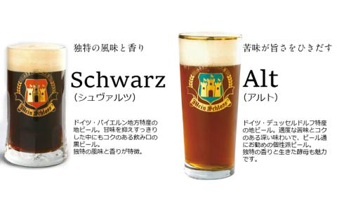 HAMAMATSU BEER はままつビール 330ml 6本セット【配送不可：離島】