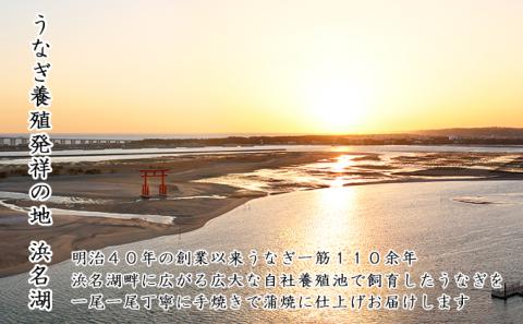 訳あり 浜名湖うなぎ蒲焼 80g×3尾 真空パック 冷蔵【浜名湖産うなぎ・国産うなぎ】 魚介類 老舗 自社養殖 手焼き 小ぶり サイズ 贅沢 来客時 スタミナ料理 うな丼 ひつまぶし 土用の丑の日 静岡県 浜松市