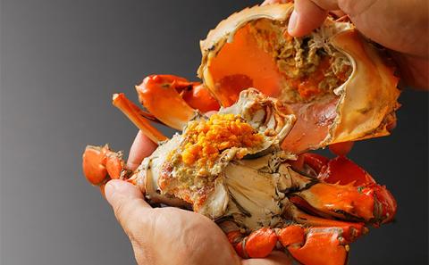 浜名湖産 どうまん蟹 1杯（約420g）【配送不可：離島】