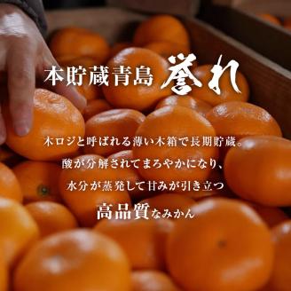 【2026年3月上旬より順次発送】三ケ日みかん「誉れ」 約4kg