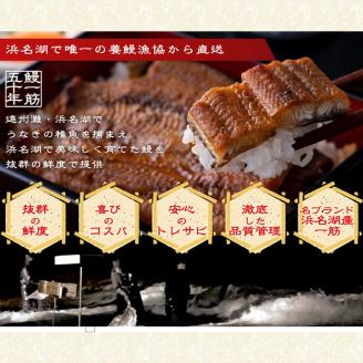 浜名湖産うなぎ大満足特盛セット（長白焼・長蒲焼150g×各4、カット蒲焼110g×8）【国産うなぎ】【配送不可：離島】