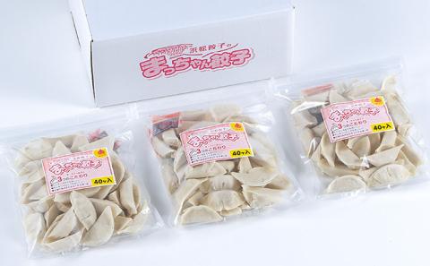 浜松餃子 まっちゃん 餃子 計120個 (40個入×3袋) セット 浜松 冷凍餃子 生餃子 ギョーザ 小分け おかず 惣菜 お弁当 弁当 おつまみ つまみ 中華 点心 加工食品 冷凍食品 冷凍 冷凍配送 静岡 静岡県 浜松市 配送不可：沖縄県・離島