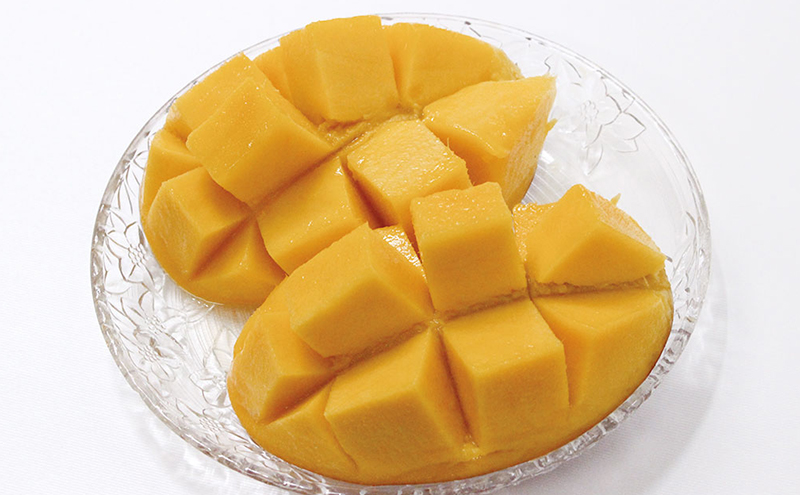 【受付期間:2025年7月10日まで】完熟マンゴー 浜松赤土産 900g以上～1kg未満 期間限定 フルーツ 贅沢 果物 果汁 芳醇 上質 濃厚 ジューシー 食品 デザート おやつ ご褒美 高糖度 国産 産地直送 特産品 浜松市