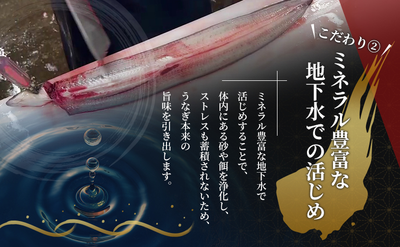 国産 うなぎ 蒲焼き 110g 6尾 (2本×3箱) セット 詰め合わせ 国産うなぎ うなぎの蒲焼 うなぎ蒲焼き 国産うなぎ蒲焼 ウナギ 鰻 魚介 魚介類 惣菜 お惣菜 簡単調理 静岡うなぎ 浜名湖うなぎ 静岡 静岡県 浜松市