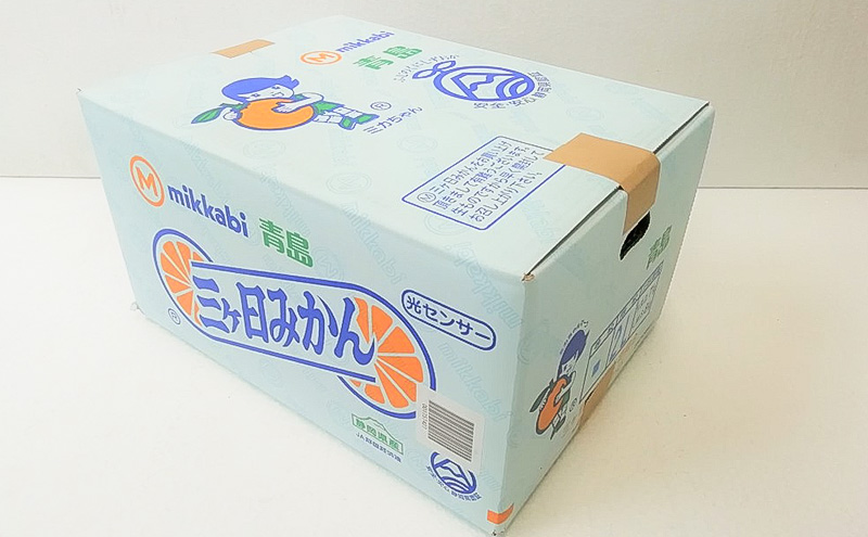 静岡三ヶ日産 青島みかん 8kg/箱