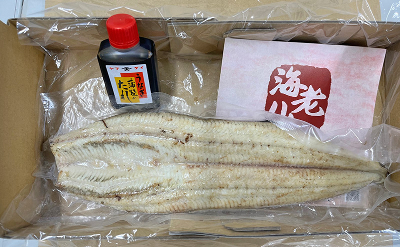 【訳アリ・数量限定】浜名湖鰻白焼1本（約250ｇ） ビッグサイズ うなぎ ウナギ 鰻 白焼 白焼き 魚貝類 訳あり 土用の丑の日 静岡県 浜松市
