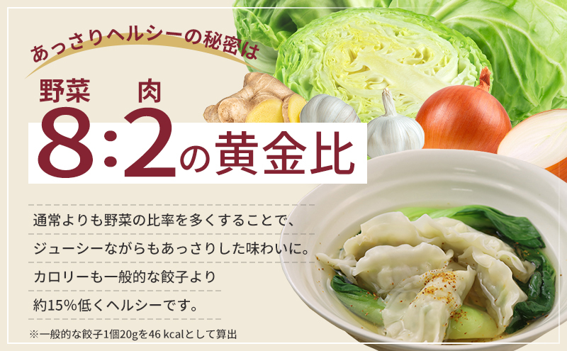【定期便6回】浜松餃子 60個 (20個×3袋) セット 詰め合わせ 餃子のタレ 小袋 知久屋 国産 ぎょうざ 餃子 ギョーザ 冷凍餃子 静岡 静岡県 浜松市 【配送不可：離島】