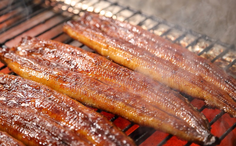 国産うなぎ長蒲焼120g×2尾＆調理済み浜松餃子5ケ入×2パック詰め合わせ【配送不可：離島】 国産 うなぎ 鰻 ウナギ長蒲焼 真空パック 焼き餃子 ぎょうざ 浜松餃子 詰め合わせ 冷凍 浜松市 静岡 【2026年1月15日以降順次発送】