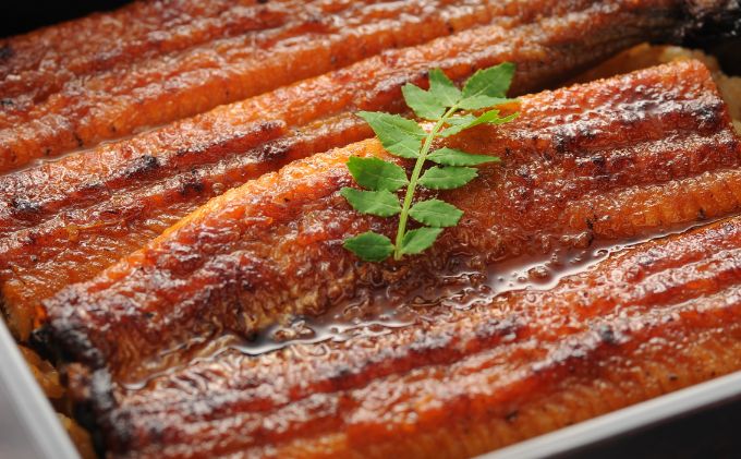 ＜うなぎ＞  大和養魚  浜名湖うなぎ蒲焼2尾・白焼1尾  計300g【遠鉄百貨店×高島屋】