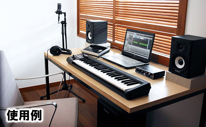 【Roland】MIDI キーボード　コントローラー　A-49-BK【配送不可：離島】
