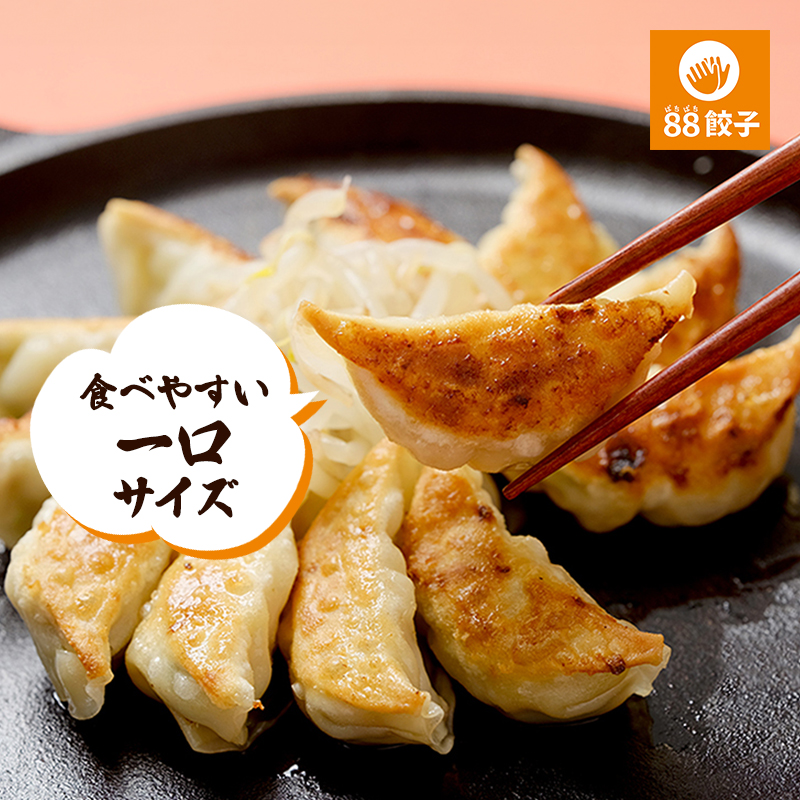浜松餃子の88ぱちぱち餃子　40個おためしセット