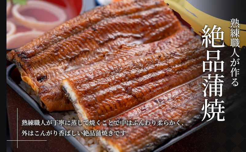 国産うなぎ 浜名湖産 蒲焼き 2尾 (200g以上×2本入) 山椒 たれ セット 詰め合わせ 海老仙 国産ウナギ 国産 うなぎ ウナギ 鰻 うなぎの蒲焼 鰻の蒲焼き 小分け おすすめ 贈答用 土用の丑の日 静岡 静岡県 浜松市