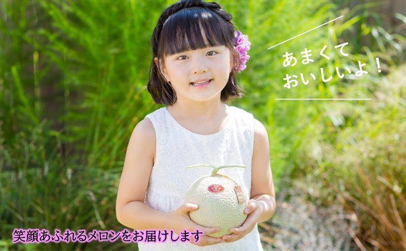 天使音（あまね）マスクメロン （1.4kg以上） １玉 【配送不可：離島】 フルーツ 果物 メロン 静岡県 浜松市 高級