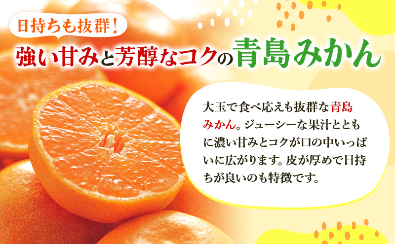 【2025年12月中旬より順次発送】三ヶ日みかん プレミアム（青島5kg）果物 柑橘 フルーツ デザート 食後 おやつ 糖度 箱詰め 濃厚 冬の味覚 静岡県産 産地直送 ビタミン サイズ混在 静岡県 浜松市