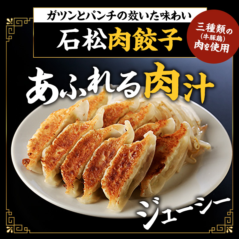 元祖 浜松餃子 石松の浜松餃子 食べ比べセット 石松餃子 40個 肉餃子 18個 セット 詰め合わせ ぎょうざ 餃子 ギョーザ 冷凍餃子 冷凍ぎょうざ 冷凍 冷凍食品 中華 惣菜 食品 おかず 食べ比べ 静岡 静岡県 浜松市 【配送不可：離島】