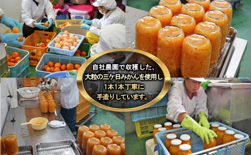 三ヶ日みかん　みかんの瓶詰詰め合わせ3本セット（900g×3本セット）