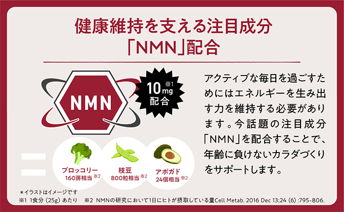 アンファー オムテック プロテイン 妊活 チョコレート味 750g