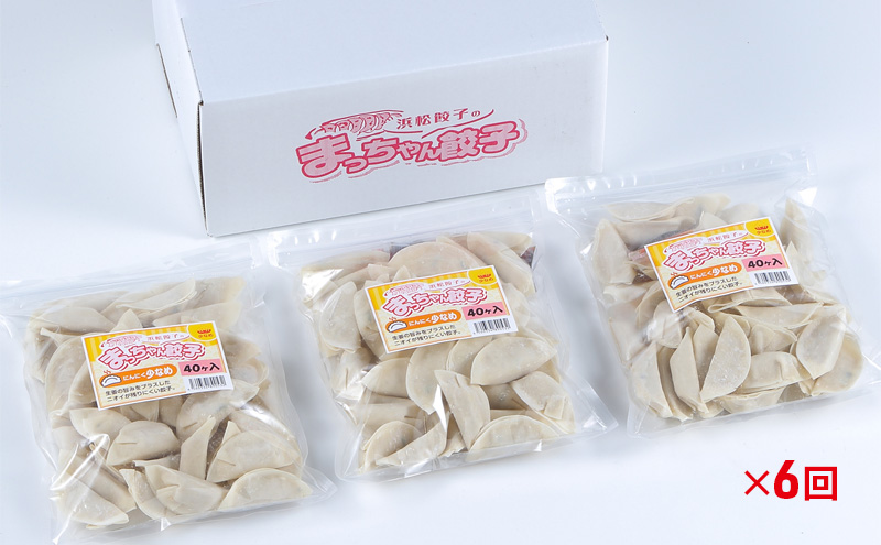 【定期便6回】浜松餃子のまっちゃん餃子にんにく少なめ餃子40ヶ入り×3袋　計120ヶセット【配送不可：沖縄県・離島】
