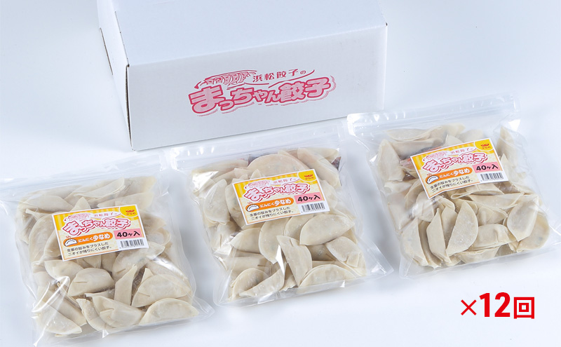 【定期便12回】浜松餃子のまっちゃん餃子にんにく少なめ餃子40ヶ入り×3袋　計120ヶセット【配送不可：沖縄県・離島】