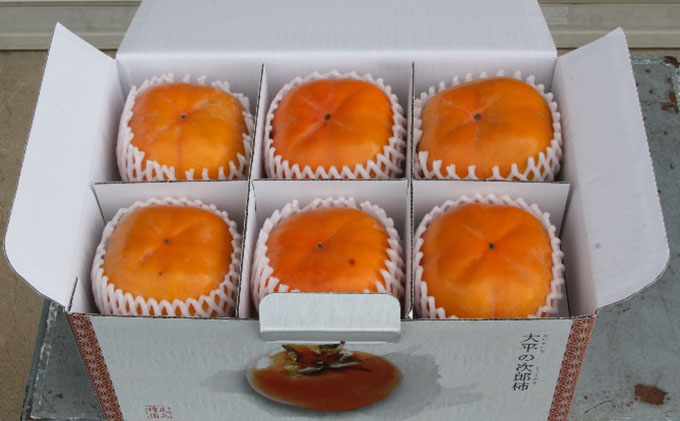 【2025年11月中旬より順次発送】幻の 次郎柿 2L 3kg 12個 贈答用 大玉 11月中旬より順次発送 柿 かき 果物 くだもの フルーツ 旬の果物 旬のフルーツ 秋の味覚 静岡県 浜松市