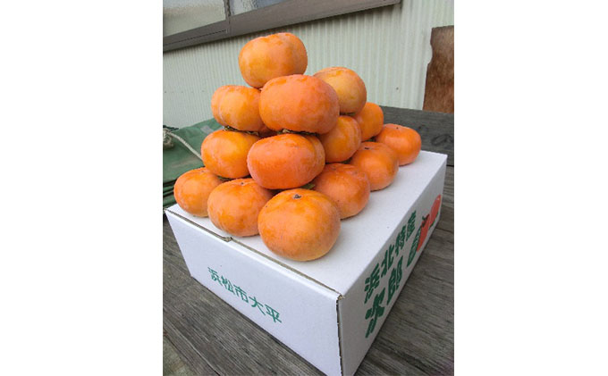 【2025年11月中旬より順次発送】【秋の味覚】幻の柿 次郎柿！木成り完熟の逸品26～32個入り（7kg） 果物 フルーツ かき 冬の味覚 産地直送 静岡県産 浜松市産