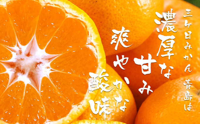 三ヶ日みかんジュース「浜名湖まるごと純粋搾り」720ml 2本【静岡 三ヶ日 みかん ジュース】 果汁飲料 野菜飲料 フレッシュ