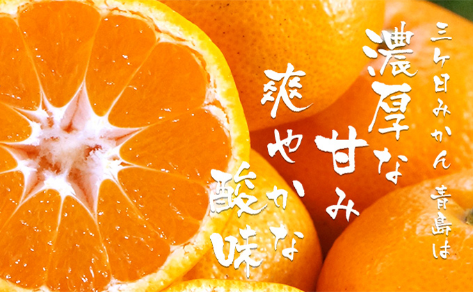 三ヶ日みかんジュース「浜名湖まるごと純粋搾り」720ml 6本【静岡 三ヶ日 みかん ジュース】 果汁飲料 野菜飲料 三ケ日みかん 青島