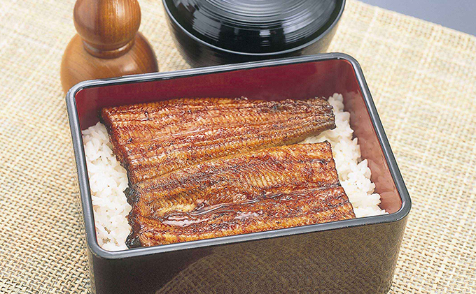 うなぎ 浜松 浜名湖産 鰻 蒲焼 約100g× 2尾 たれ 10ml×2 小分け セット 土用の丑の日 丑の日 国産うなぎ 浜松うなぎ 浜名湖うなぎ 国産 蒲焼き 夏バテ防止 浜名湖 産地直送 冷凍 冷凍配送 静岡 静岡県 浜松市