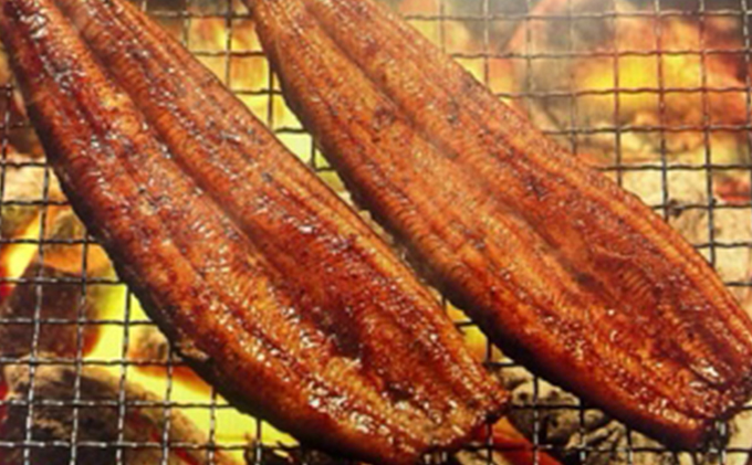 【2025年8月15日頃～順次発送予定】浜名湖産鰻　蒲焼 約140g×2本・鰻佃煮120g セット 土用の丑の日 丑の日 うなぎ 浜松 静岡県産