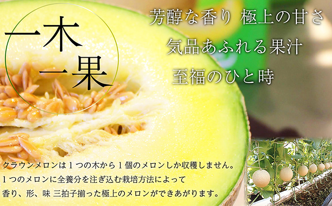 【6か月定期便】クラウンメロン【上（山等級）】中玉（1.3kg前後）1玉入り