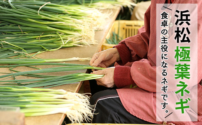 おとなりさんち厳選！浜松から鮮度抜群！旬の野菜BOX【定期便6か月分】【配送不可：沖縄・離島】