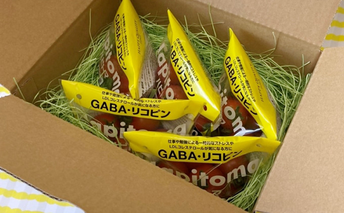 機能性表示食品 Hapitoma ハピトマ 糖度10（1kg）【配送不可：離島】