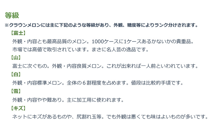 クラウンメロン 山等級 1個（1.5kg） 果物 メロン青肉 フルーツ 食後 デザート おやつ おもてなし 来客 糖度 高い 上品 香り 静岡県産 浜松市産 贈り物 お土産 産地直送