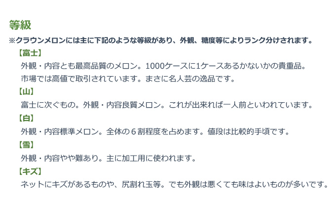 クラウンメロン 等級白 1.3kg 1個 静岡県 浜松市 【2025年1月中旬より順次発送】 果物 くだもの フルーツ メロン めろん