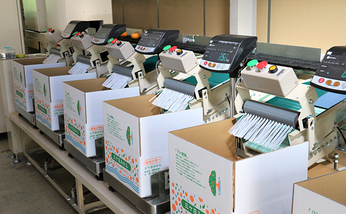 【2025年10月下旬より順次発送】三ヶ日みかん（極早生5kg）光センサー選果 デザート 食後 おやつ こだわりマルチ栽培 糖度 10.5 以上 箱詰め 混載 濃厚 冬の味覚 静岡県産 産地直送 ビタミン サイズ混在