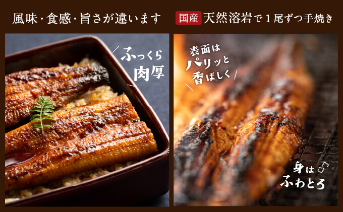 うなぎ 浜松 溶岩焼き 蒲焼き 10尾 (約140g×5尾×2P) 朝じめ 鰻 タレ セット 土用の丑の日 丑の日 国産うなぎ 浜松うなぎ 浜名湖うなぎ 国産 ギフト プレゼント 贈答 レンジ 調理 レンチン 夏バテ防止 浜名湖 産地直送 冷蔵 冷蔵配送 静岡県 浜松市