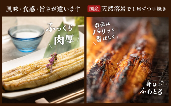 浜名湖産 朝じめ鰻 溶岩焼き コンビセット 約140g×2尾（蒲焼き 1尾・白焼き 1尾）