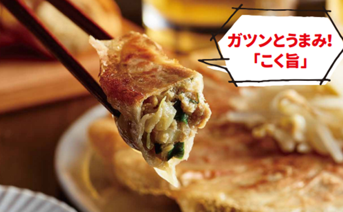 餃子好き社員有志が創り上げた究極の逸品！こく旨 浜松餃子en 100個（20個×5セット・たれ付き）【配送不可：離島】